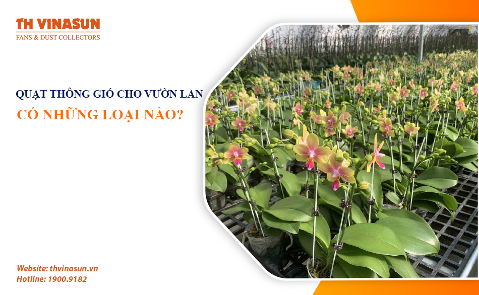 Quạt thông gió cho vườn lan: Có những loại nào?