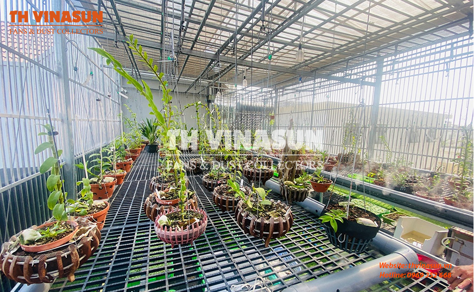 quạt thông gió cho vườn lan