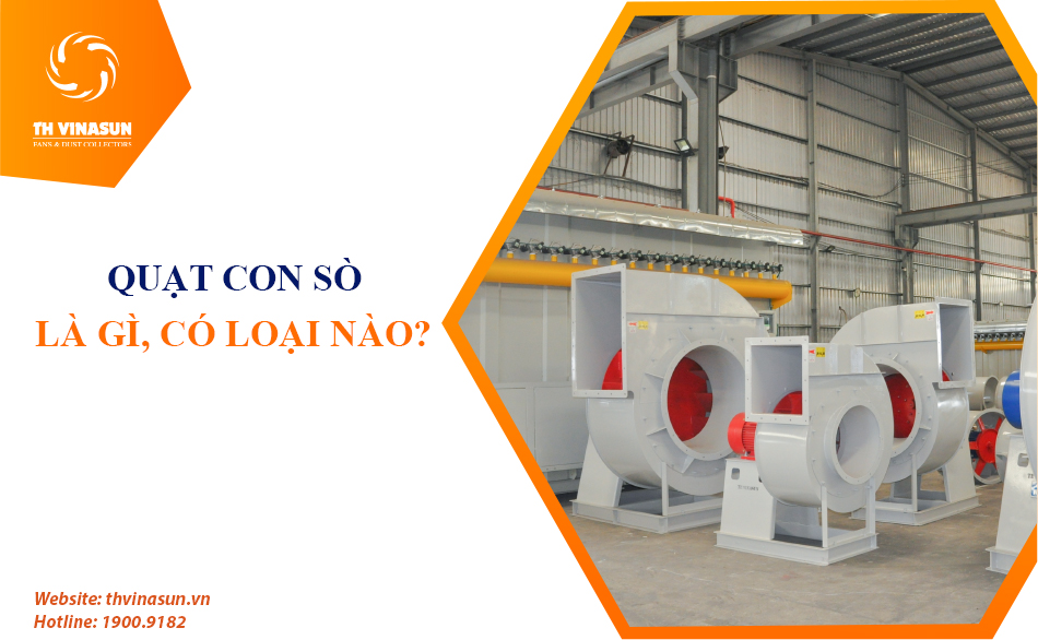 Quạt con sò công nghiệp là gì? Có những loại nào?