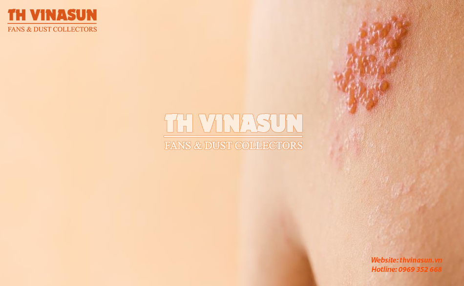 hit-nhieu-bui-xi-mang công nghệ xử lý bụi sơn