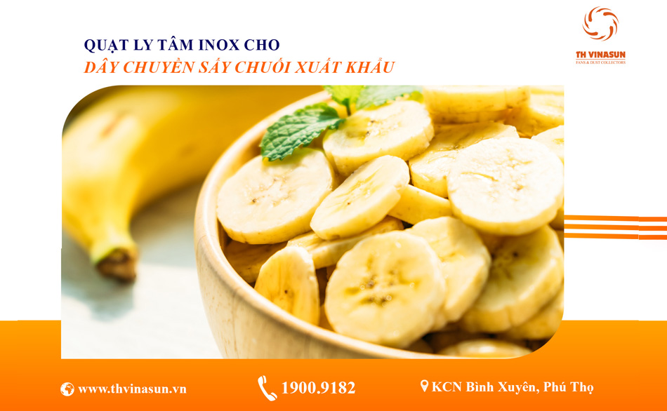 Hoàn thiện lô quạt inox cho dây chuyền sấy chuối xuất khẩu